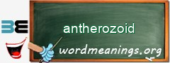 WordMeaning blackboard for antherozoid